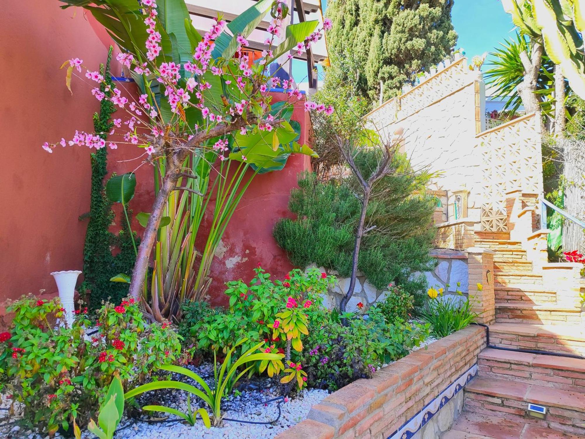 Evans Realty Au Villa Nirvana & Playa & Piscina 丰希罗拉 外观 照片